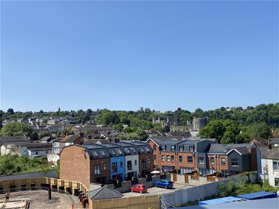 Picture 25